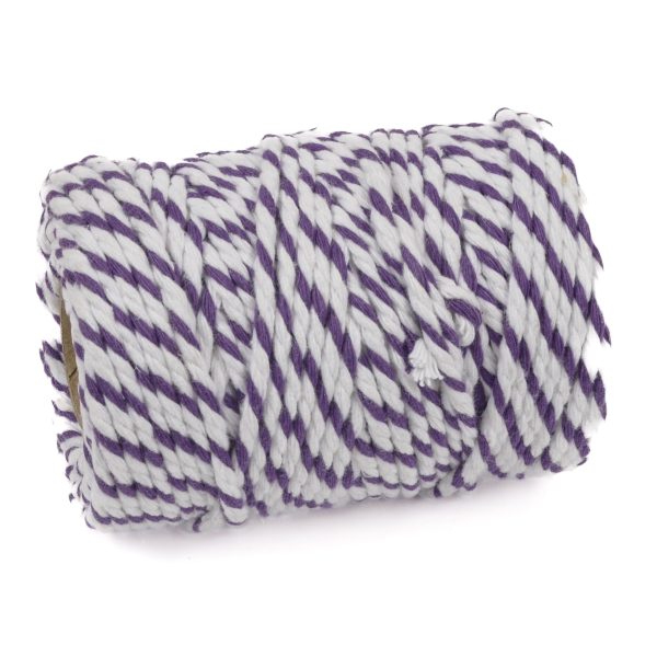 Chunky Bakers Twine Original Violet